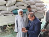توريد 39 ألف طن من محصول القمح بالشون والصوامع الحكومية بمراكز المنيا