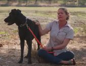 قناة الوثائقية تعرض فيلما بعنوان "كلاب فوق العادة"