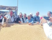تداول القمح المستورد بالبورصة المصرية للسلع للحد من ارتفاع الأسعار
