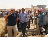 محافظ الوادي الجديد يشهد حصاد مزرعة تقييم بحثي لسلالات القمح بالداخلة