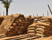 محافظ أسيوط: توريد 11 ألفا و88 طن قمح للشون والصوامع بالمراكز والقرى