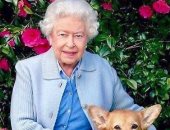 تغيير كلاب كورجى الخاصة بالملكة الراحلة إليزابيث فى قصر باكنجهام.. لماذا؟