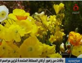 "القاهرة الإخبارية" تعرض تقريرا عن زهور مراسم تتويج الملك تشارلز.. فيديو