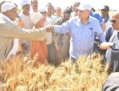 محافظ أسيوط: انتظام توريد القمح واستلام 17 ألف طن بالصوامع والشون