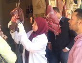 الطب البيطرى تشن 29 حملة على الأسواق فى محافظة الشرقية