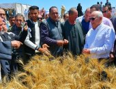 تموين بورسعيد: زيادة توريد القمح من المزارعين بإجمالى 5300 طن