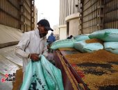 4 أسباب وراء انخفاض واردات مصر من القمح أبرزها زيادة الإنتاج