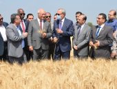 محافظ القليوبية ورئيس جامعة بنها يشهدان موسم حصاد القمح بكلية الزراعة بمشتهر