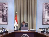 رئيس الوزراء يتابع مع وزير قطاع الأعمال العام عددا من ملفات عمل الوزارة