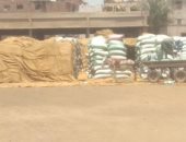 انتظام أعمال توريد محصول القمح بشون وصوامع مراكز محافظة المنيا