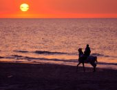 استمتع بجمال شاطئ العريش الساحر على ساحل البحر المتوسط فى شمال سيناء.. صور