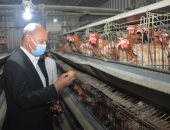 محافظ القليوبية يتفقد مشروع الـ30 مليون بيضة بالخانكة.. صور
