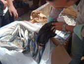 محافظ الدقهلية يحيل 65 محضر مخالفات تموينية للنيابة