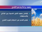"إكسترا نيوز" تعرض تقريرا حول جهود الدولة فى زراعة ودعم القمح