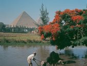 شاهد.. صورة نادرة لترعة المريوطية بالهرم عام 1962