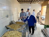 ضبط لحوم فاسدة ورفع 1900 حالة إشغال خلال حملات مكبرة بحدائق الأهرام