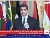 أحمد الطاهرى: كلمة الرئيس السيسي بالقمة العربية كانت للثوابت المصرية والعربية