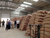 توريد 273 ألف طن من محصول القمح لشون وصوامع المنيا