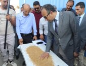 نائب محافظ المنيا: توريد 327 ألف طن من محصول القمح بشون وصوامع المحافظة