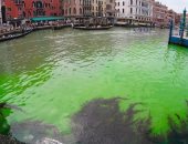 نشطاء المناخ يصبغون مياه فينيسيا باللون الأخضر