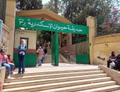 مدير حديقة الحيوان بالإسكندرية: استقبلنا 84 ألف زائر خلال عيد الفطر