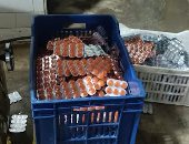 تموين الإسكندرية: التحفظ على 3 أطنان جلوكوز بمصنع مكملات غذائية بدون ترخيص