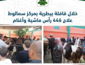قوافل بيطرية بمركز سمالوط في المنيا والكشف على 446 رأس ماشية وأغنام 