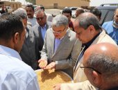 شون وصوامع المنيا تستقبل 401 ألف طن من محصول القمح بجميع المراكز