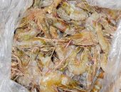 تموين بورسعيد تضبط أسماكا ومأكولات بحرية منتهية الصلاحية