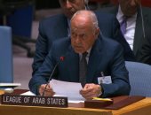 أبو الغيط: ألمس إجماعا دوليا متزايدا بمجلس الأمن حول وقف العدوان على غزة