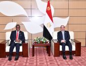 الرئيس السيسى يلتقى رئيس مالاوى ويؤكد حرص مصر على تعزيز التعاون بين البلدين