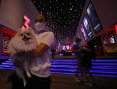 العالم هذا الصباح.. ولا فى الخيال.. سينما الحيوانات الأليفة فى تايلاند.. واشنطن: 40 مليار دولار إجمالي قيمة دعم الأسلحة لأوكرانيا.. العفو الدولية: إفلات إسرائيل من العقاب يشجّعها على ارتكاب المزيد من الجرائم