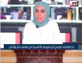 دار الإفتاء توضح أبرز شروط الأضحية من الغنم ذكر وأنثى.. فيديو