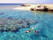جزر أبو منقار والجفتون لؤلؤة الرحلات البحرية بالبحر الأحمر