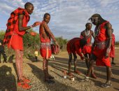 عادات وتقاليد الشعوب.. فعاليات كرنفال "ماساي" الثقافي في كينيا 
