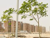 وزير الإسكان يتابع موقف وحدات الإسكان المتوسط بمشروع "سكن كل المصريين"