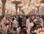طلع البدر علينا من ثنيات الوداع.. تفويج الحجاج المصريين للمدينة المنورة وسهولة في إجراءات التسكين.. ضيوف الرحمن بحالة صحية جيدة ويترددون على الأماكن المقدسة.. خطيب المسجد النبوي: الأعمال الصالحة  تجارة رابحة