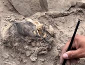 اكتشاف مومياء عمرها 3000 عام فى بيرو