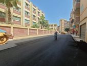 رصف الطرق بمدن ومراكز فوه والرياض وقلين بمحافظة كفر الشيخ.. صور    