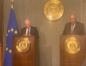 وزير الخارجية: نسعى لمزيد من الاستثمارات الأوروبية فى مصر 