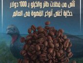 تأتى من فضلات طائر والكيلو بـ 1000 دولار.. حكاية أغلى أنواع القهوة فى العالم (فيديو)