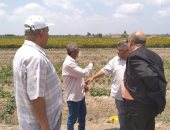 زراعة الإسماعيلية تنظم يوما حقليا لمزارعي القطن فى جلبانة شرق قناة السويس