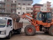 أعمال نظافة ورصف بالإنترلوك ومقاومة الحشرات الطائرة بمراكز كفر الشيخ