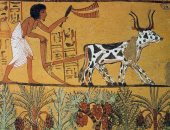 المصريين القدماء.. 3 وثائق تثبت أن طبقة العمال كانوا أحرارًا وليسوا عبيدًا
