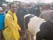 حملات من الطب البيطرى بالجيزة لإحكام الرقابة على أسواق الماشية قبل العيد.. صور