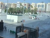 الحجاج يلتقطون صوراً مع حمام الحما بمحيط الحرم النبوي (فيديو)