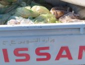 تموين الغربية: ضبط 3 آلاف رغيف مدعم قبل بيعها بالسوق السوداء وتحرير 12 محضرا