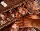 تحرير 73 مخالفة في حملات تموينية على المحال لمراقبة الأسواق بالإسماعيلية