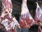 طرح اللحوم الضانى بـ320 جنيهًا للكيلو فى معرض خير مزارعنا لأهالينا بالدقى