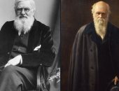 160 عامًا على مناقشة أوراق داروين ووالاس حول نظرية التطور فى جمعية لينيان